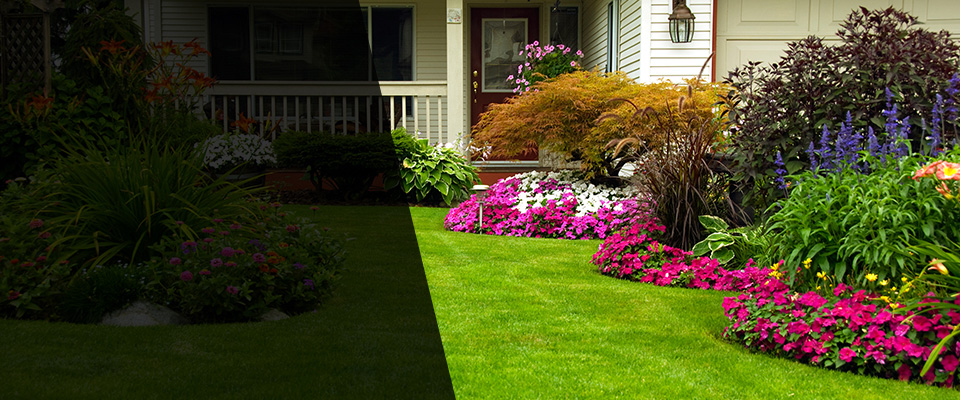 Calhoun Landscapers